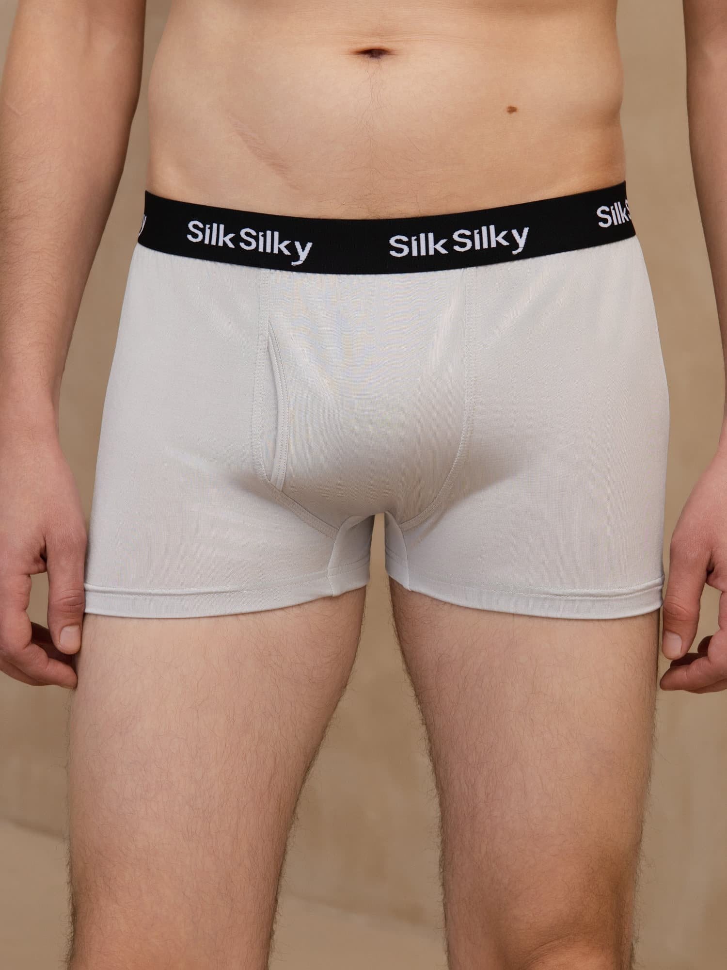 3 Stück Reine Seide Herren Komfort Atmungsaktive Boxer Brief Unterwäsche